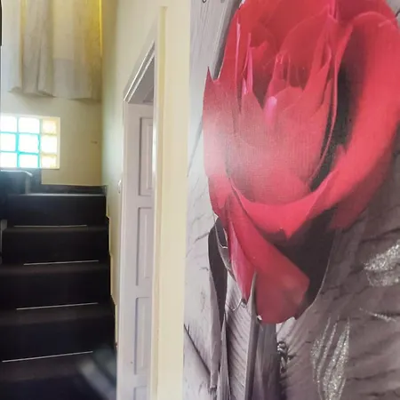 Casa Miky * Брашов