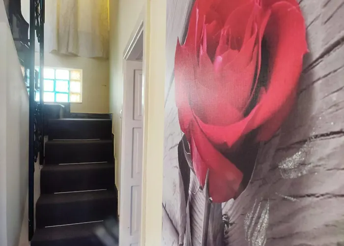 Casa Miky * Брашов